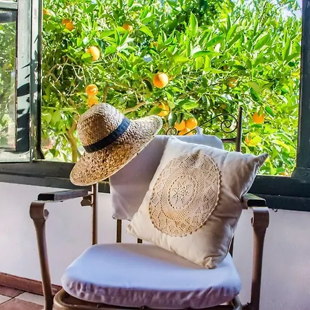 Ermioni Tatil Evi *